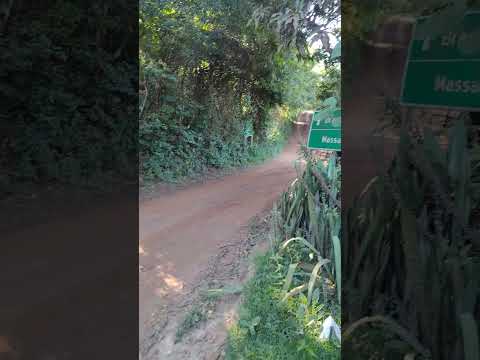 moeda minas gerais