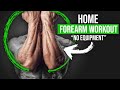 5 Minute Home Forearms Workout (NO EQUIPMENT)