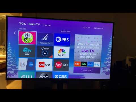 TCL 55-Inch BEST 4K TV S425 4-Series Review: 6 Months Later