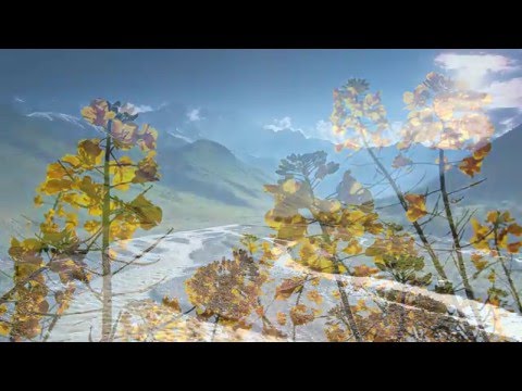 download lagu mp3 mp4 Transform Relax Rejuvenate Extended Music Version, download mp3 Transform Relax Rejuvenate Extended Music Version free downloadn, video klip Transform Relax Rejuvenate Extended Music Version