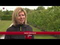 Fruittelers in Dronten helpen voedselbank in eigen gemeente