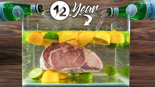 I aged steaks in LIME WATER for 1/2 yr and this happened!