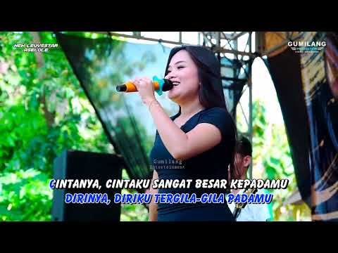 NEW LEVYSSTAR KARAOKE - CINTA SEGITIGA - FEBI PESEK - BIRTHDAY PARTY SANDRA N FRIEND