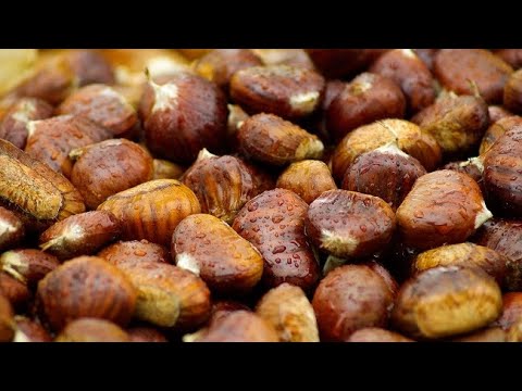 Vlerat shëndetësore dhe kurative të gështenjës