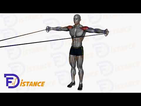 Exercice Tirage frontal à l'élastique