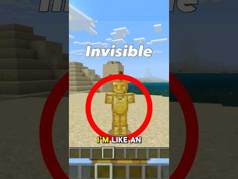 Can You Have a INVISIBLE Skin in Minecraft? 🤔