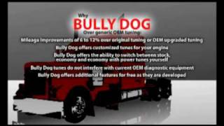 Bully Dog Big Rig