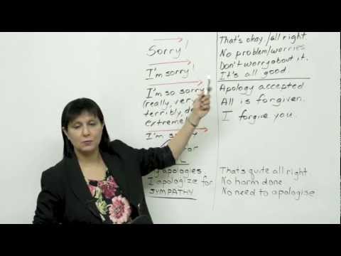 5 ways to say sorry - Polite English