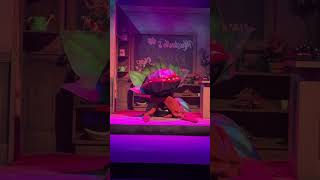 Feed Me (Git It) Live Performance | Little Shop of Horrors