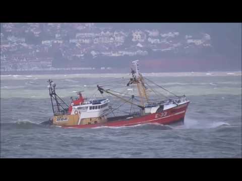 Denis Murray with Ronnie Kennedy -      IF WISHES WERE FISHES