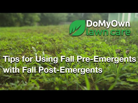  Using Fall Pre-Emergents with Fall Post-Emergents Video 