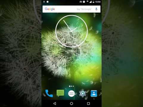 Dandelion Live Wallpaper Video