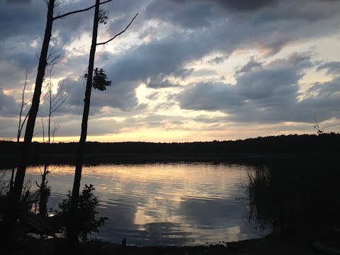 Berlin, a perspective.