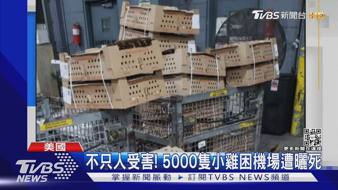 在家有如烤爐!紐約高溫逼近40度 皇后區還大停電