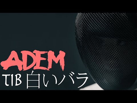 ADEM - TiB 白いバラ