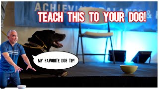 How To Teach Your Dog to Ignore Food! (With Cesar Millan)