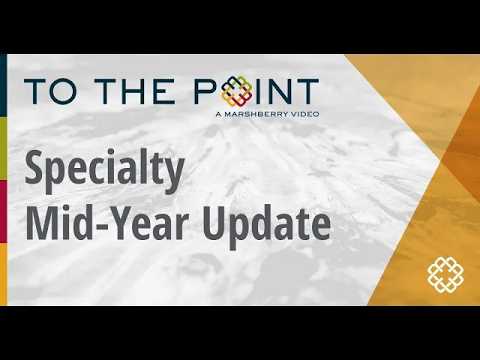 Thumbnail for Mid-Year Update on Specialty Insurance M&A Transactions and Valuations video
