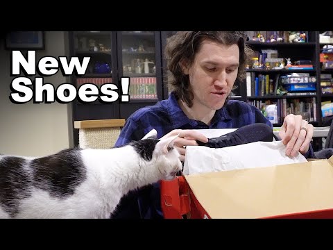 Indoor Shoes • 2.1.21