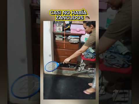 Zancudos hasta para regalar