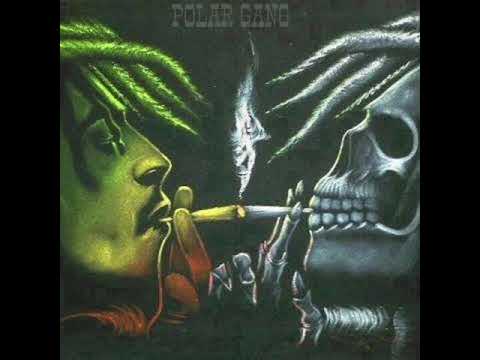 POLAR GANG -ВСЕ КАК ОБЫЧНО