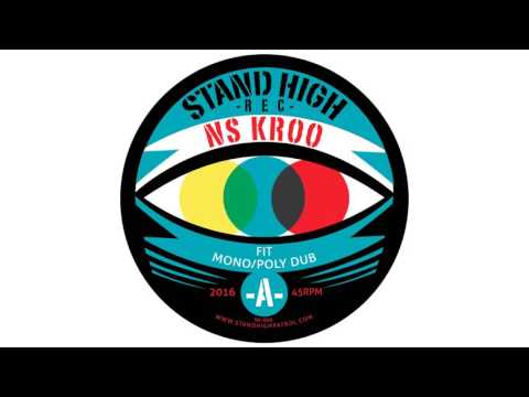 NS KROO : "Mono/Poly Dub" (Stand High Records)