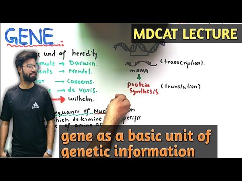 what is a gene | NMDCAT 2021 | Unit Of Inheritance