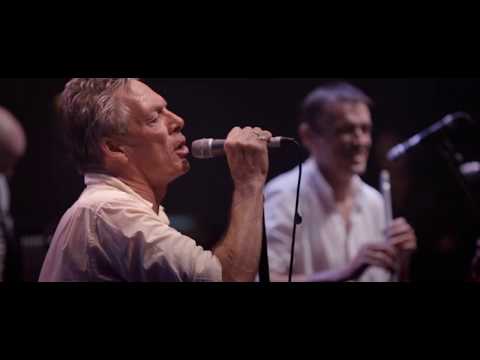 The Pogues in Paris, 30th Anniversary - Star of the County Down