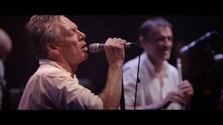 The Pogues in Paris, 30th Anniversary - Star of the County Down