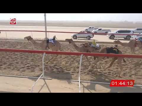  ش 1 (شوق) لـ رزق الله سليمان 3:12:22 , أشواط الضيوف 2026/08/30 فطامين الوثبة 