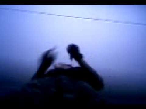 I' am a Singer (me Inside)