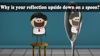 Concave Mirror - Why is your reflection upside down on a spoon? | #aumsum