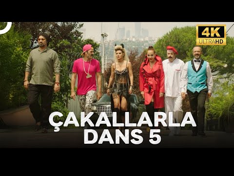 Çakallarla Dans 5 | 4K Komedi Filmi İzle