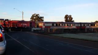 preview picture of video 'P14 with P16 departing Melton Station'