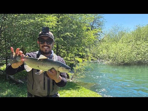 Pesca con mosca seca en el río cochrane 