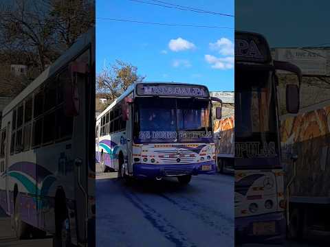 Transporte San Pedro Matagalpa San Dionisio Esquipulas