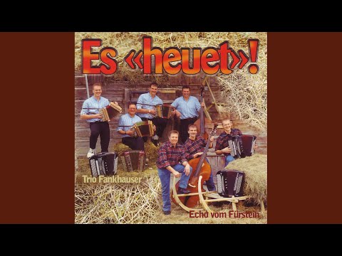 Darf i ned es bizäli