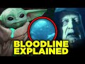 BABY YODA PALPATINE LINK! Mandalorian Force Awakens & First Order Timeline Explained!
