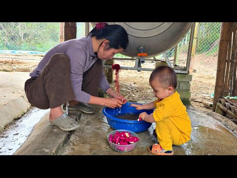 Wie sieht der Alltag der alleinerziehenden Mutter Ly Tieu Ca aus?