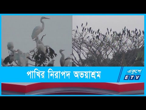 পাখির কলকাকলিতে মুখরিত নড়াইলের ইকোপার্ক