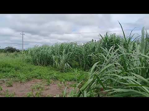 Serra dos caboclos municipo de caldeirão grande do piaui 