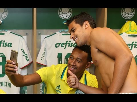 BASTIDORES - Palmeiras 3 x 1 Santa Cruz - Brasileirão 2016