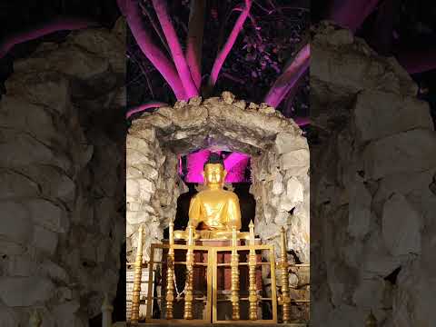 #buddha #bodhgaya #bodhgayatemple #bodhgayatemple #reels #ytshorts #nocopyrightmusic