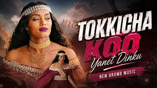 Download lagu Yanet Dinku TOKKICHA KOO New Oromo Music mp3 Download lagu Yanet Dinku TOKKICHA KOO New Oromo Music mp3