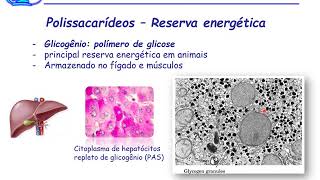 Aula 2 Biomoléculas