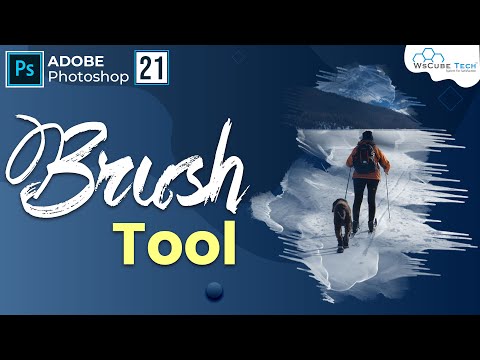 Adobe Photoshop Introduction Photoshop for Beginners in Hindi | 1