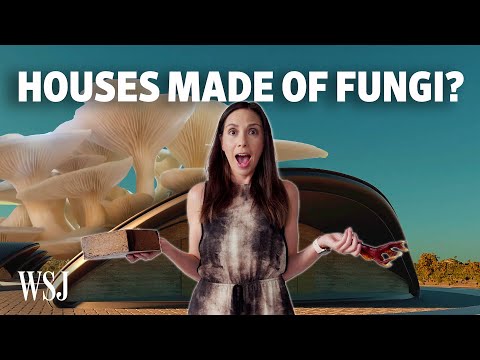 These Mushroom Bricks Are Up to Twice as Strong as Concrete