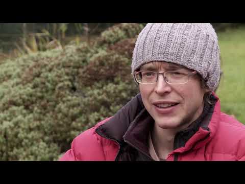 Ben Bransby climbs Parthian Shot E10 6c