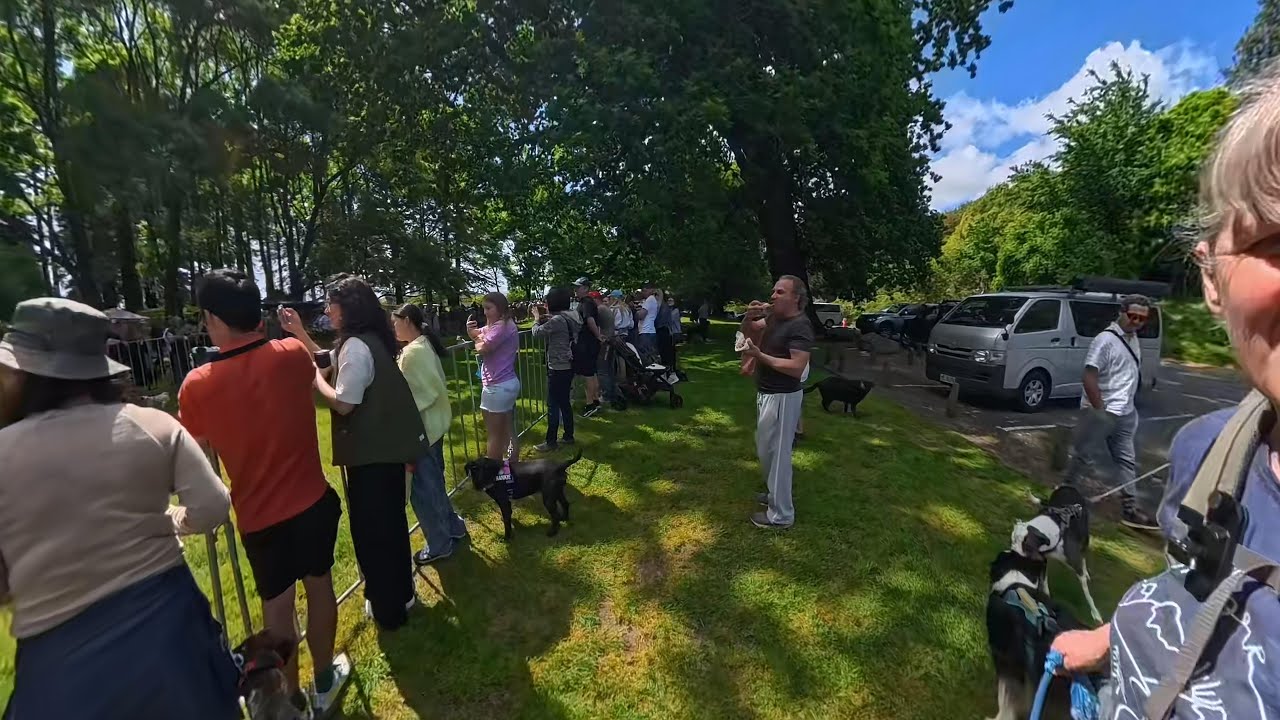 Barkfest NZ 2025 - Cambridge, New Zealand - Ultimate doggy day out for all the family.