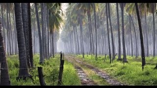 Jeff Johnson's Approach To Photography