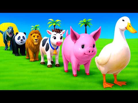 Long Slide Game With Cow Elephant Gorilla Hippopotamus Tiger 3d Animal Game Funny 3d Animals